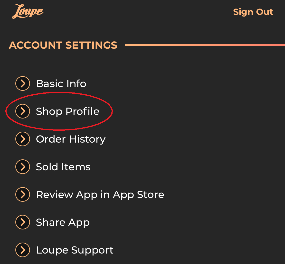 Shop Profile Marked.png